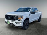 2022 F-150 Thumbnail 4