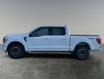 2022 F-150 Thumbnail 5