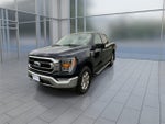 2022 F-150 Thumbnail 4