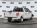 2022 F-150 Thumbnail 2