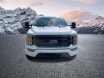 2022 F-150 Thumbnail 3