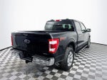 2022 F-150 Thumbnail 7