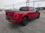 2022 F-150 Thumbnail 5