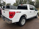 2022 F-150 Thumbnail 5