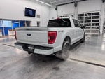 2022 F-150 Thumbnail 5