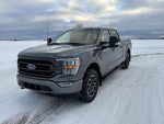 2022 F-150 Thumbnail 4