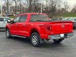 2022 F-150 Thumbnail 6