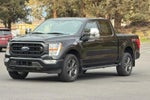 2022 F-150 Thumbnail 8