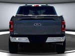 2022 F-150 Thumbnail 5