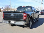 2023 F-150 Thumbnail 7