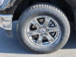 2023 F-150 Thumbnail 13