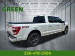 2023 F-150 Thumbnail 6