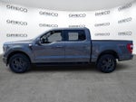 2023 F-150 Thumbnail 4