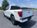 2023 F-150 Thumbnail 6