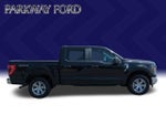 2023 F-150 Thumbnail 4