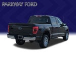2023 F-150 Thumbnail 5
