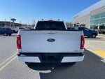 2023 F-150 Thumbnail 4