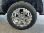 2023 F-150 Thumbnail 10