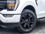 2023 F-150 Thumbnail 3