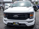 2023 F-150 Thumbnail 4
