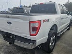 2023 F-150 Thumbnail 4