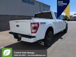 2023 F-150 Thumbnail 3