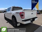 2023 F-150 Thumbnail 7