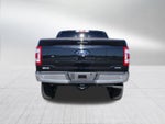2023 F-150 Thumbnail 4