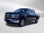 2023 F-150 Thumbnail 8
