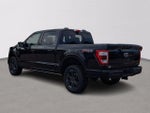 2023 F-150 Thumbnail 4