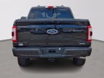 2023 F-150 Thumbnail 5