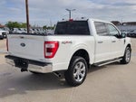 2023 F-150 Thumbnail 5