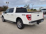 2023 F-150 Thumbnail 9