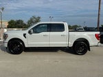 2023 F-150 Thumbnail 8