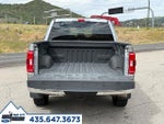 2023 F-150 Thumbnail 5