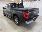 2023 F-150 Thumbnail 9