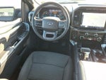 2023 F-150 Thumbnail 15