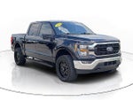 2023 F-150 Thumbnail 3