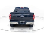 2023 F-150 Thumbnail 6