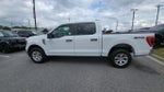2023 F-150 Thumbnail 6