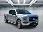 2023 F-150 Thumbnail 2