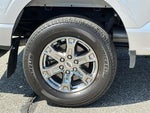 2023 F-150 Thumbnail 7