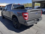 2023 F-150 Thumbnail 8