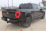 2023 F-150 Thumbnail 5