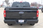 2023 F-150 Thumbnail 6