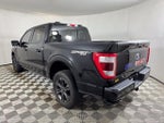 2023 F-150 Thumbnail 6
