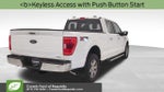 2023 F-150 Thumbnail 9