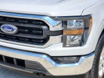 2023 F-150 Thumbnail 8
