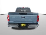2023 F-150 Thumbnail 4