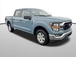 2023 F-150 Thumbnail 7